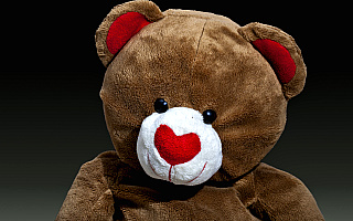 Pluszowe misie dla małych pacjentów szpitala w Ameryce. Prezenty przygotowali studenci i pracownicy WSPol Pluszowe misie dla małych pacjentów szpitala w Ameryce. Prezenty przygotowali studenci i pracownicy WSPol